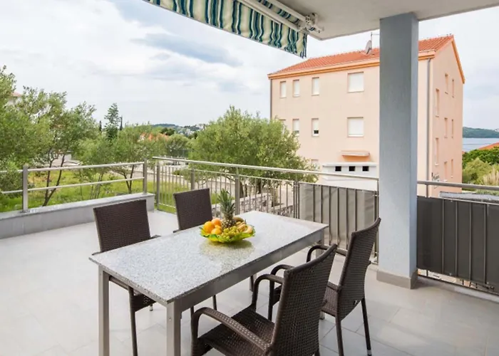 Delight 特罗吉尔