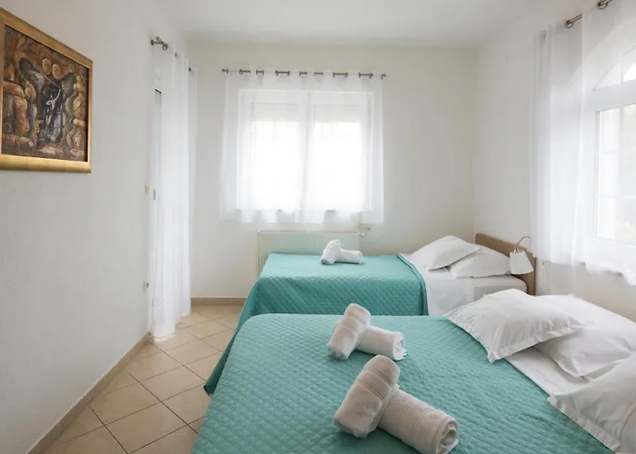 Delight 特罗吉尔